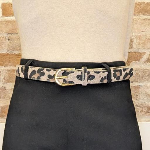 Cinturón Sahara [2]