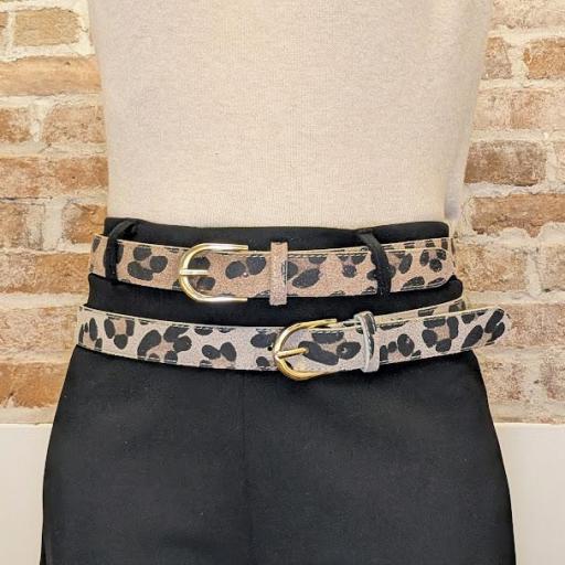 Cinturón Sahara [0]