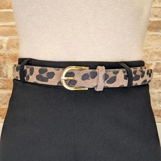 Cinturón Sahara [1]