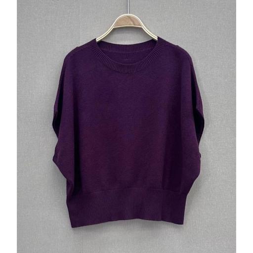 Jersey chaleco  [1]