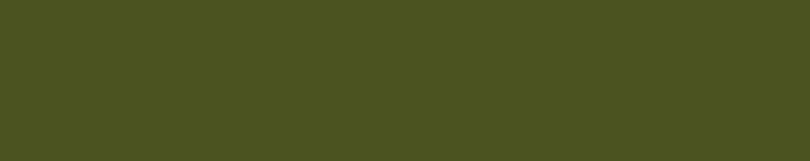 Paleta de colores- Verde oliva