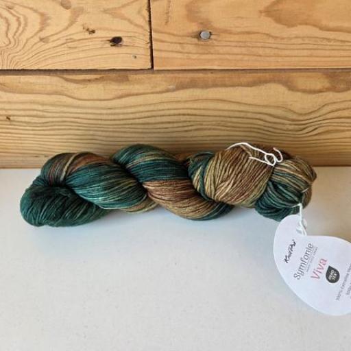 SYMFONIE VIVA HIMALAYAS 1013 DK [1]