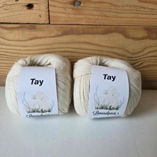 TAY 33006 BLANCO [1]