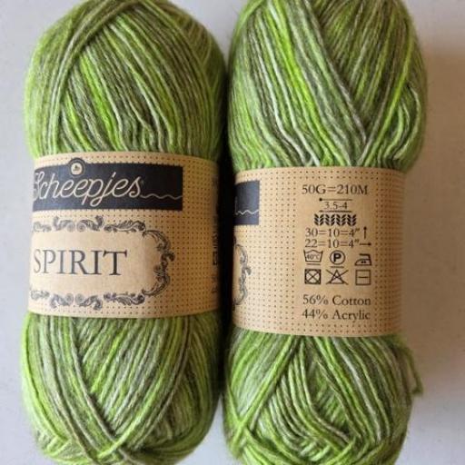 Scheepjes SPIRIT 307 [1]