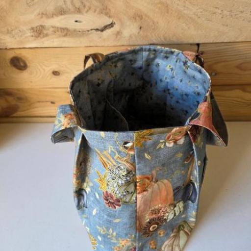 Bolsa de Proyectos Calabazas [1]