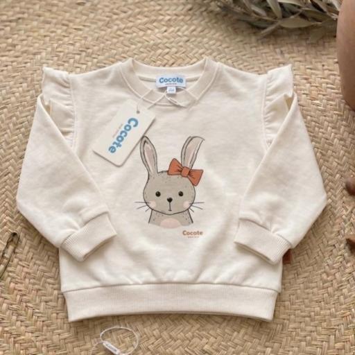 Sudadera entretiempo  [0]