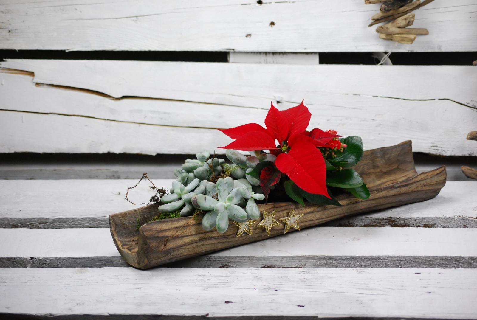Tronco de madera natural con flor de navidad