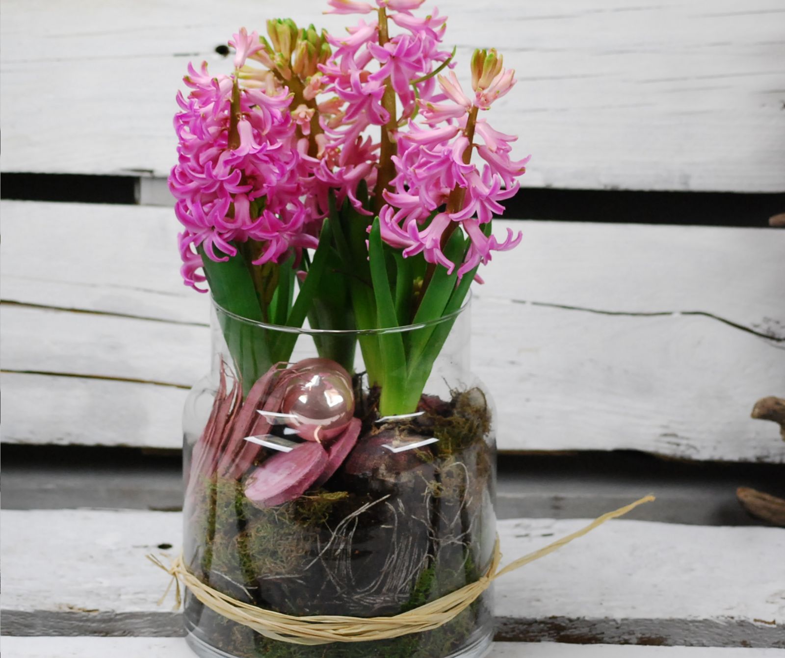 Composición de flores jacintos