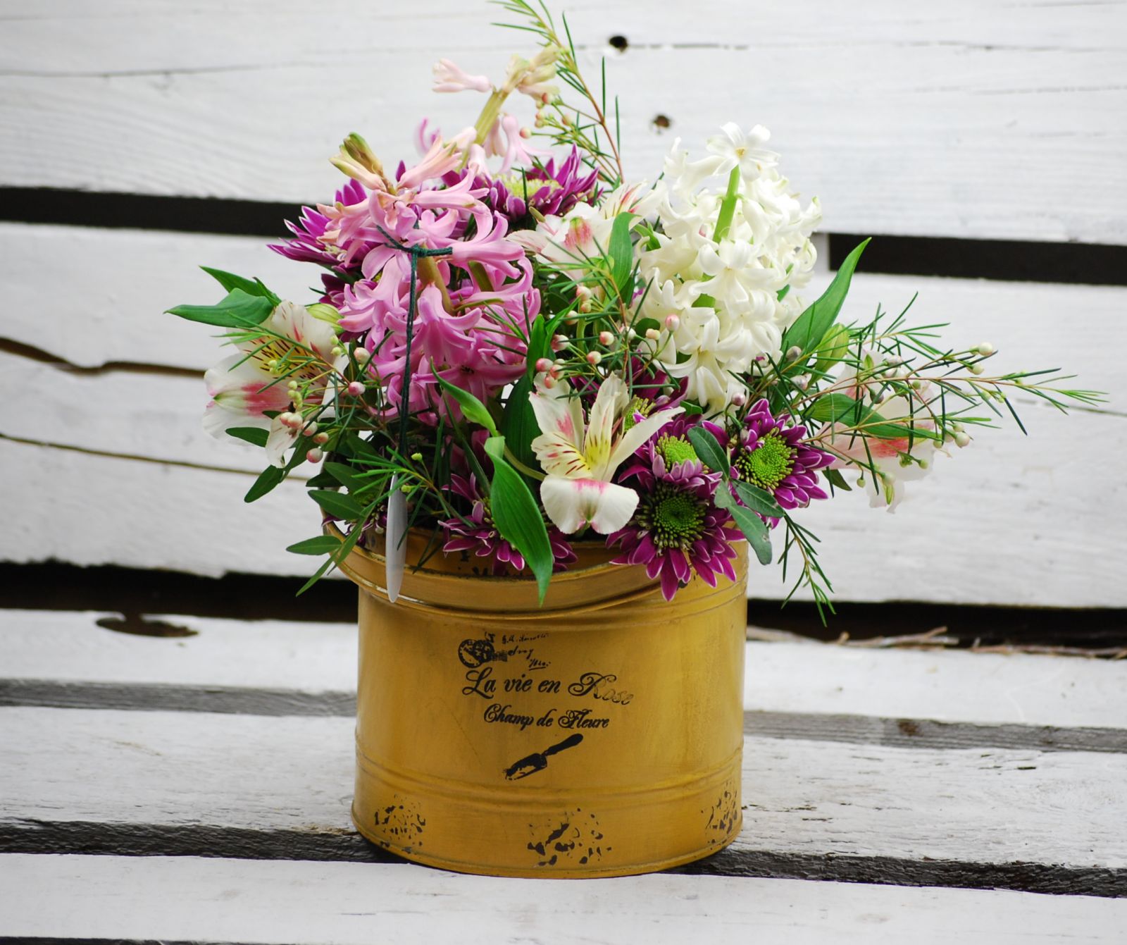 Narciso flor de temporada