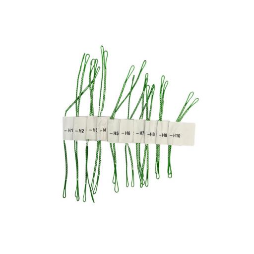 Duotone Line Set Horizontal Parawing 2026