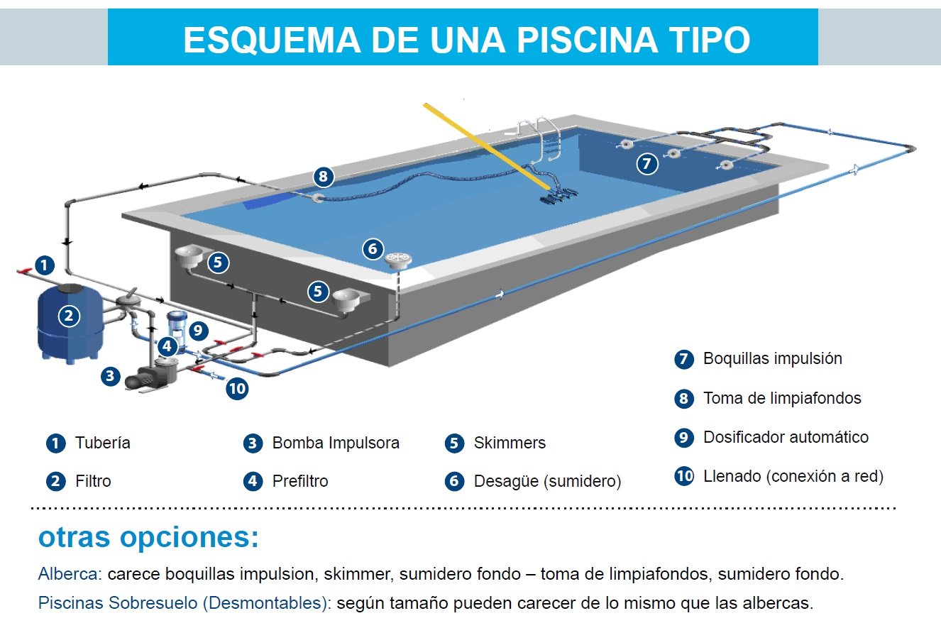 Hacer bien Independencia Mariscos Cómo funciona una piscina