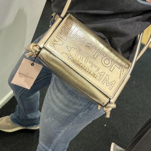 Bolso gold mini Lola casademunt.