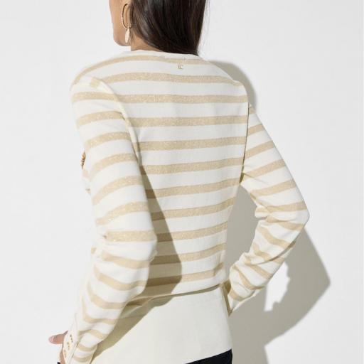 Jersey rayas lurex Lola Casademunt. [2]