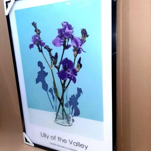 Cuadro con lámina de Lilly of the Valley, Decoración floral tonos violetas, Marco color Negro. [3]