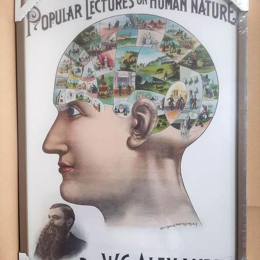 Cuadro con lámina de Profesor W.G. Alexander Naturaleza Humana Poster Vintage, Marco color Nogal. [2]