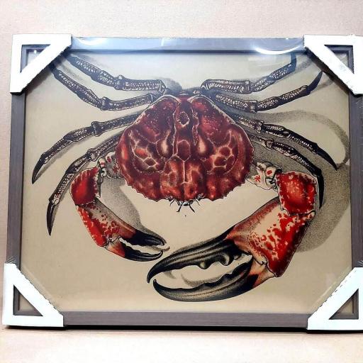 Cuadro con lámina de Crustáceo Cangrejo de Mar, Decoración Cocina, Marco Color Nogal. [1]