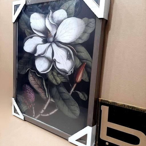 Cuadro con lámina de Flor Magnolia Fondo Negro, Interiorismo Versátil, Marco color Nogal. [1]