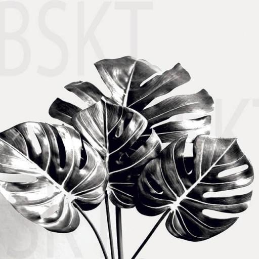 Cuadro en lienzo alta resolución botánica Monstera Blanco y Negro [0]
