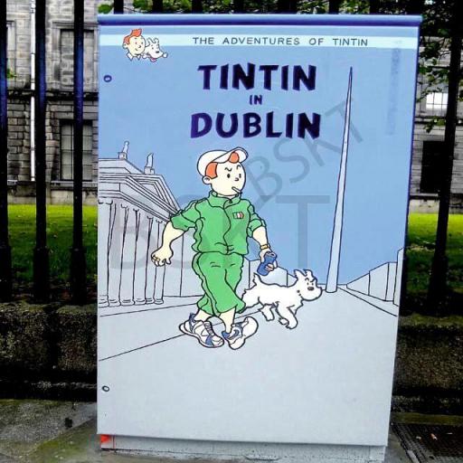 Cuadro en lienzo Graffiti Tintin Dublin