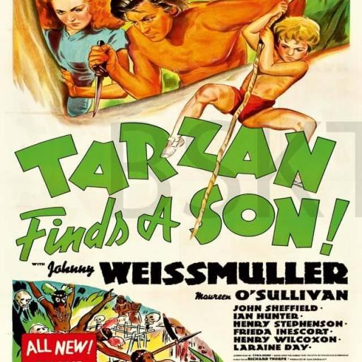 Cuadro en lienzo Tarzan y su hijo