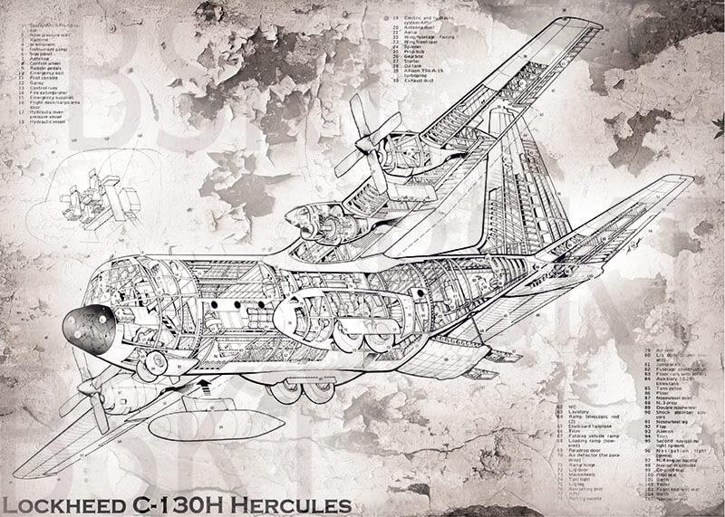 Cuadro en lienzo montado sobre bastidor plano avión Hércules