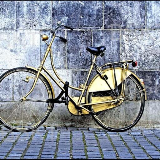 Cuadro en lienzo bicicleta vintage [0]