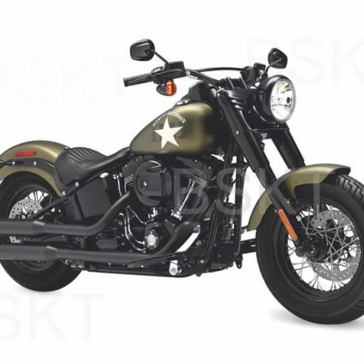 Cuadro en lienzo Harley Davidson