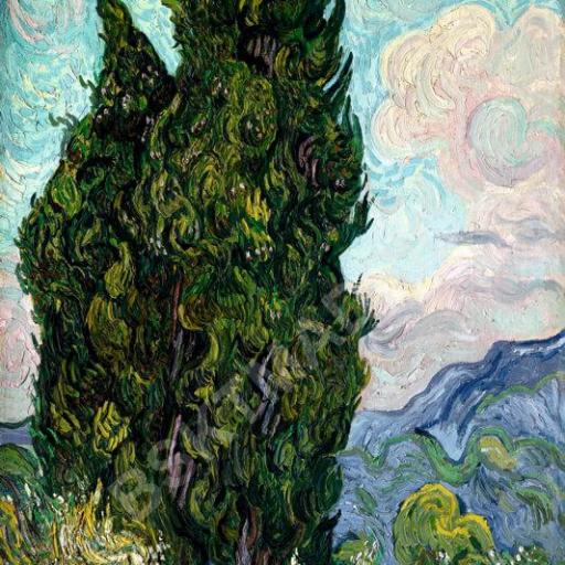 Cuadro en lienzo canvas decorativo Van Gogh cipreses alta resolución