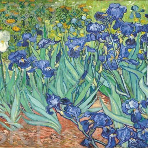 Cuadro en lienzo impresionismo Van Gogh lirios  [0]