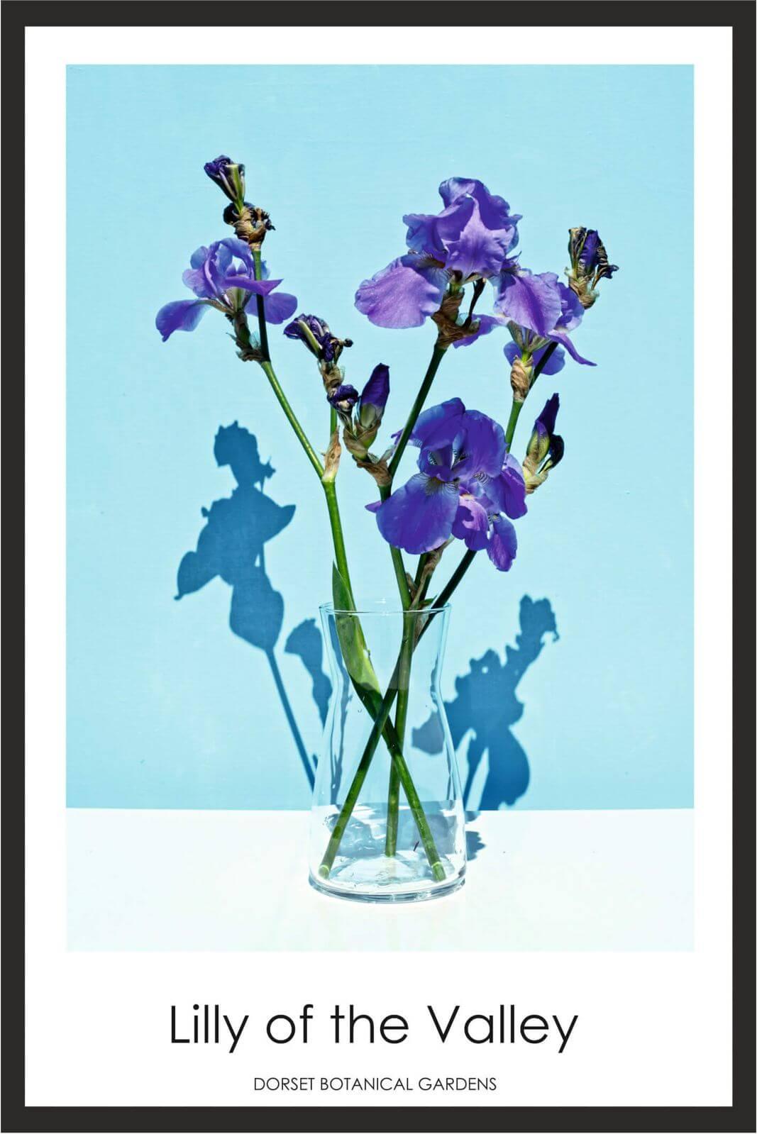 Cuadro con lámina de Lilly of the Valley, Decoración floral tonos violetas, Marco color Negro.
