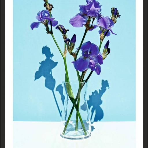 Cuadro con lámina de Lilly of the Valley, Decoración floral tonos violetas, Marco color Negro.