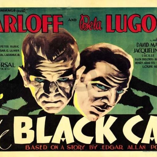 Cuadro en lienzo cine clásico Black cat el gato negro