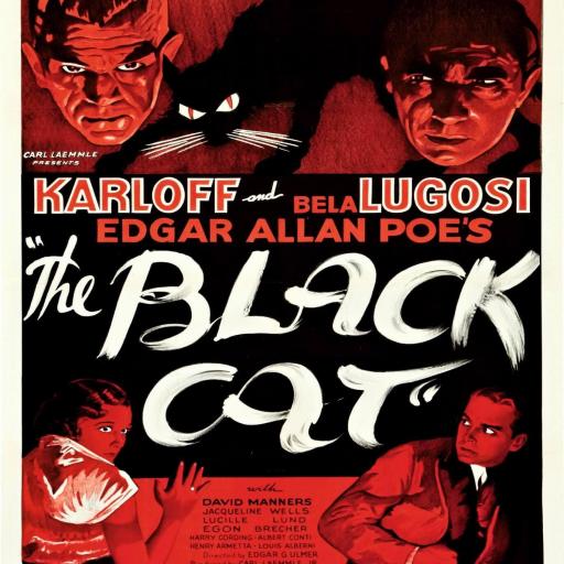 Cuadro en lienzo Cartel cine clásico terror The Black Cat (1934) [0]
