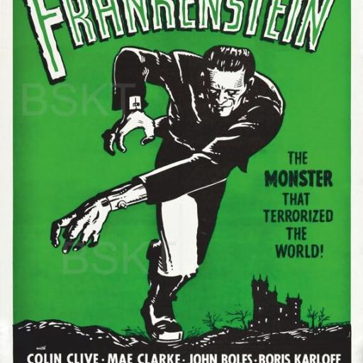 Cuadro en lienzo mediano película clásica Frankenstein 