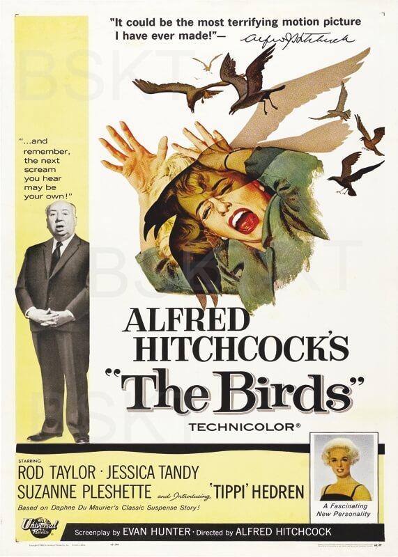 Cuadro en lienzo película Los pájaros Alfred Hitchcock