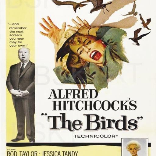 Cuadro en lienzo película Los pájaros Alfred Hitchcock Cine