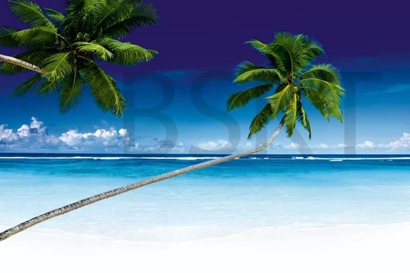 Cuadro en lienzo paisaje playa paradisiaca arena palmera