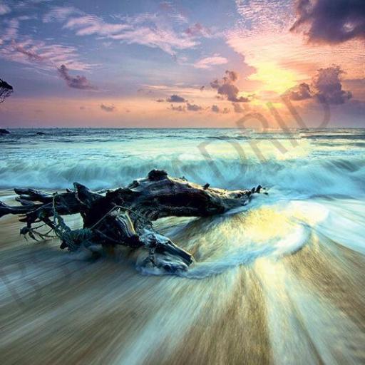 Cuadro lienzo impresión playa paradisiaca olas atardecer