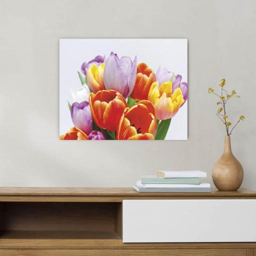Cuadro en lienzo Tulipanes colorido sobre fondo blanco [1]