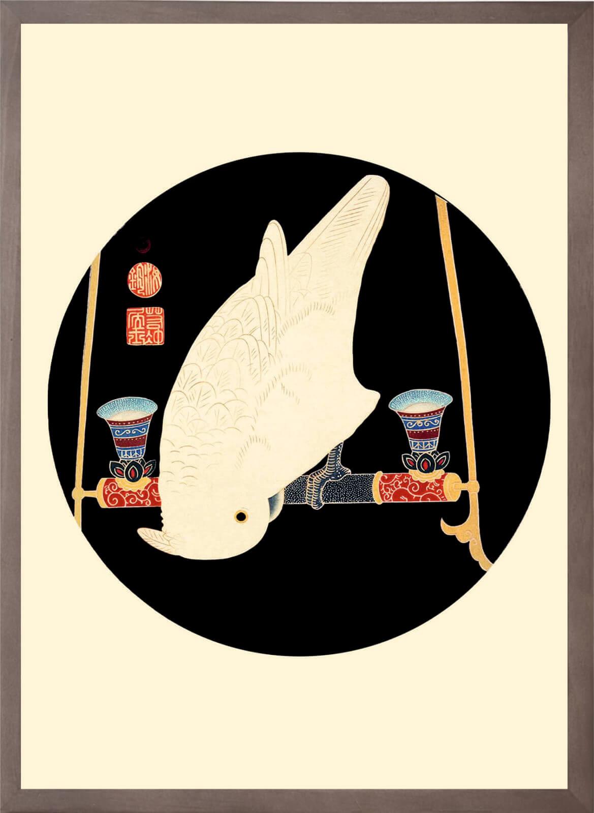Cuadro con lámina de Loro Blanco Macaw, Arte Japonés Decorativo, Marco color Nogal.