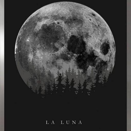 Marco con lámina de Luna LLena Paisaje Blanco y Negro, Decoración Nórdica, Marco color Níquel. [0]