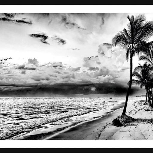 Cuadro con lámina de Playa Palmera Blanco y Negro, Decoración Monocromático, Marco color Negro.