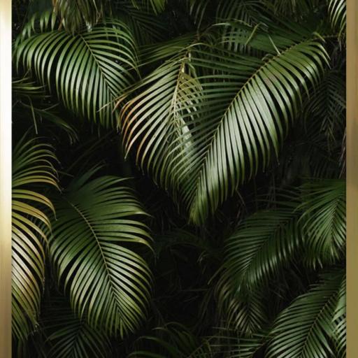 Cuadro con lámina de Hojas de Palma Tropical, Decoración Dormitorio, Marco color Dorado.