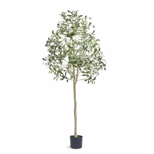 Árbol Artificial de Olivo 60 x 155 cm Planta Artificial de PE para Decoración Maceta de Árbol Verde 15 x12,5 cm Planta Falsa para Hogar, Oficina, Hotel, Centro Comercial, Interior y Exterior