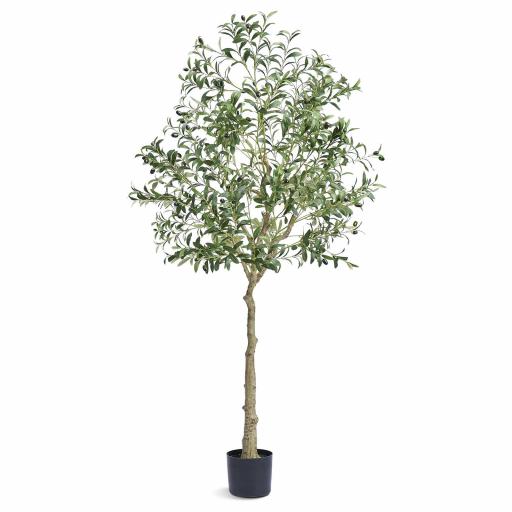 Árbol Artificial de Olivo 81 x 179cm Planta Artificial de PE para Decoración Maceta de Árbol Verde 17 x 14,5 cm Planta Falsa para Hogar, Oficina, Hotel, Centro Comercial, Interior y Exterior