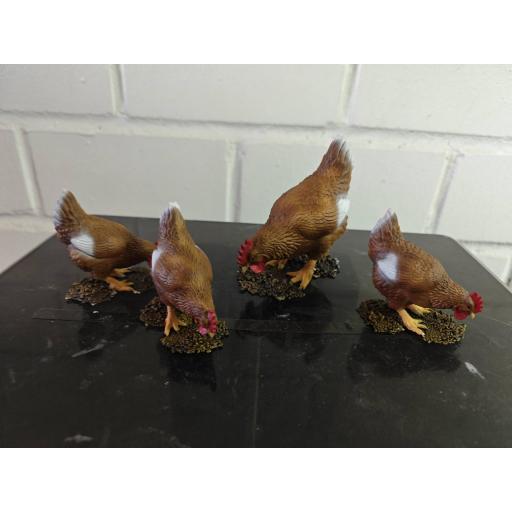Gallina comiendo [1]