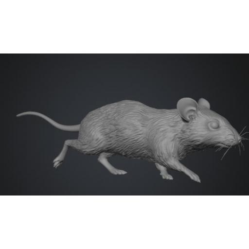 Raton 2