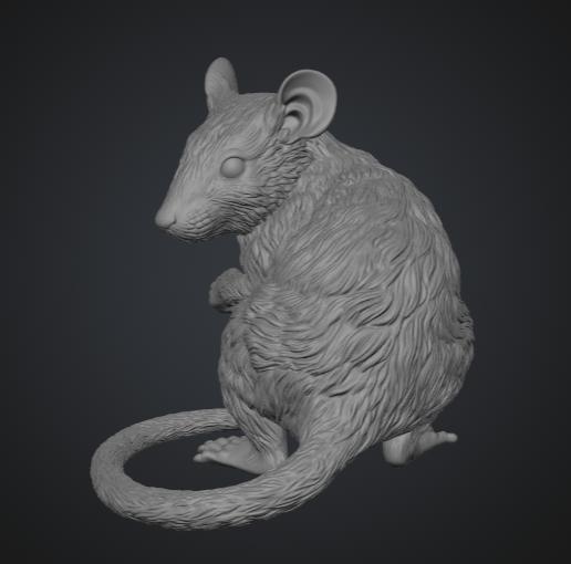 Raton 3