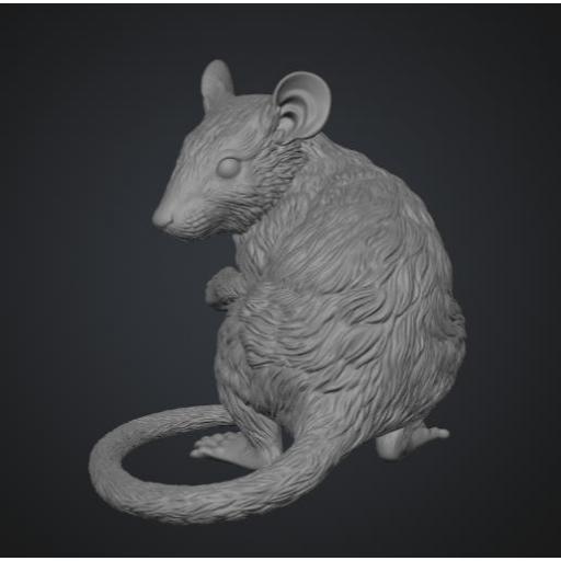 Raton 3