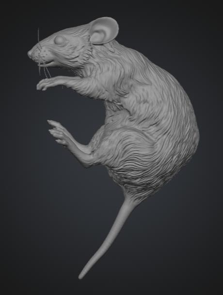 Raton